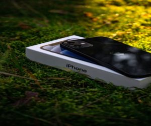 iphone lays on original box with grassy background